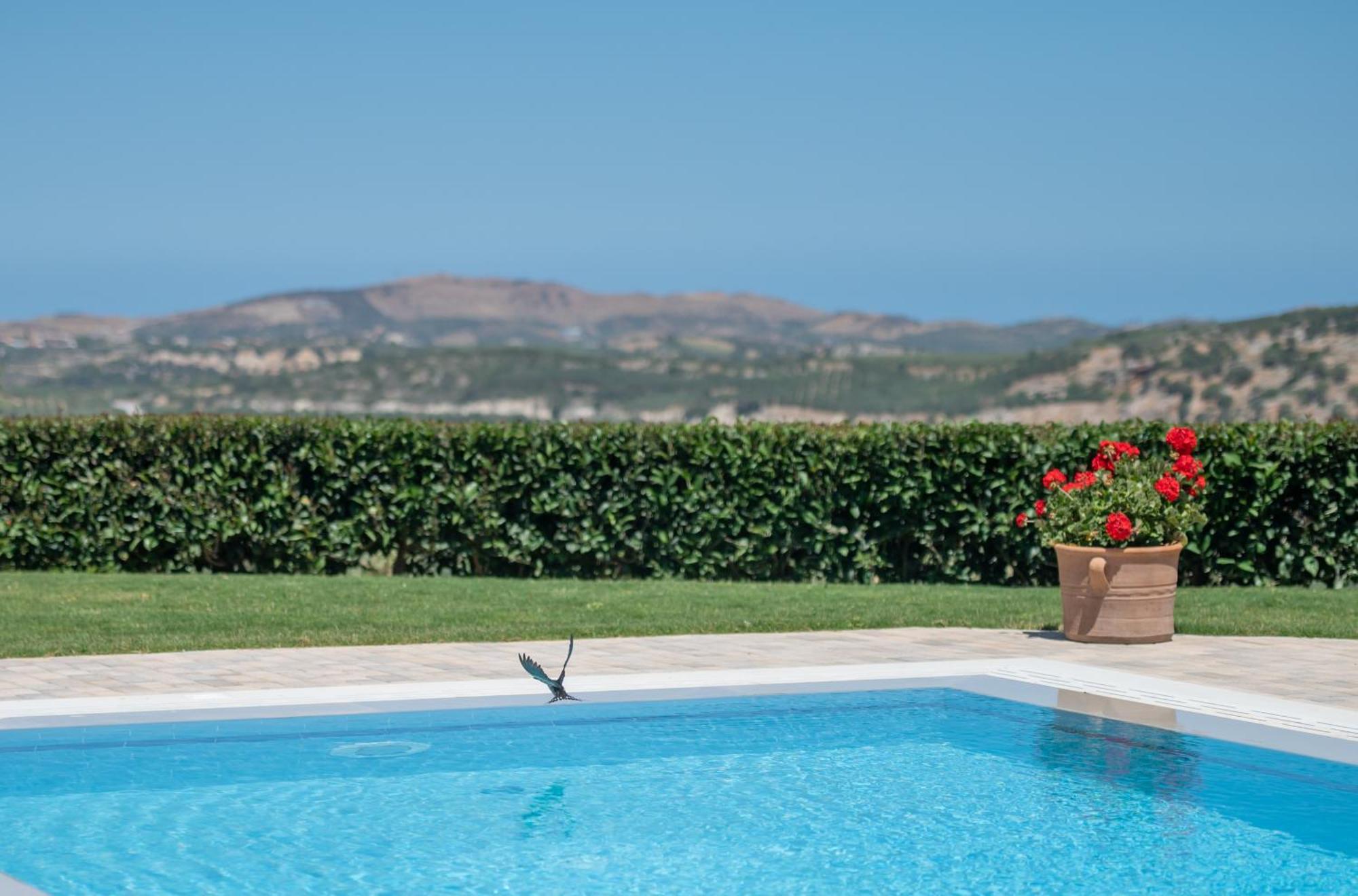 Perama  Villa Elisabeth מראה חיצוני תמונה